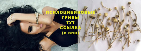 прущий лед Ростов