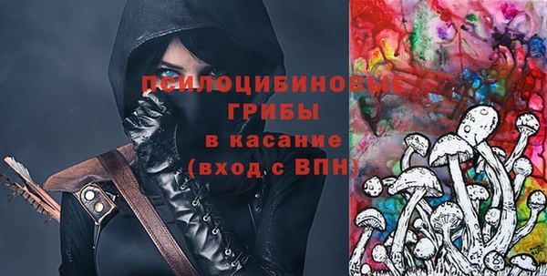 дурь Рославль