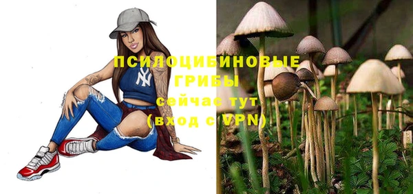 стафф Абинск